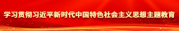 操骚穴ship学习贯彻习近平新时代中国特色社会主义思想主题教育